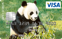 World visa panda